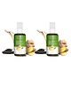 Lotus Botanicals Ginger Root & Black Seed Dandruff-Control Hair Oil | Suitable For All Hair Types | 100 ml  ( Pack Of 2 )