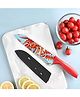 Color Printed Knife  | CD-944