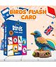BOOKFORD PUBLICATIONS Birds - Flash Cards For Kids Multicolor