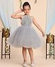 Toy Balloon Kids Net Woven Sleeveless Floral Applique Detailed Dress - Grey