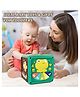 NEGOCIO Frog Baby Musical Activity Cube - Multifunctional Early Learning Montessori Toys With Music, Shape Sorter- Pack of 1