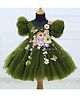 Li&Li BOUTIQUE Net Woven Half Puffed Sleeves Glitter & Pearl Embellished Butterfly & Floral Applique Detailed Dress - Olive Green