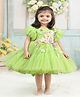 Li&Li BOUTIQUE Net Woven Half Puffed Sleeves Glitter & Pearl Embellished Butterfly & Floral Applique Detailed Dress - Pea Green
