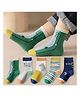 Bembika Knit Pack Of 5 Striped & Animal Designed Socks - Green