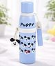 Little Surprise Box Puppy Stripes Cap Series,  Stainless Steel Kids Water Bottle - 520ml-Blue
