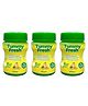 Brinton Tummy Fresh (Sugar Free) for Healthy Digestive sytem and Relief from constipation, Gas & Acidity - 100 gm x Pack of 3