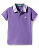 UCB Cotton Knit Half Sleeves Polo T-Shirt with Logo Embroidery - Violet