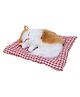FunBlast Realistic Sleeping Cat Plush with Meow Sound Toy  Pack of 1 (Brown - White)