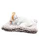 FunBlast Realistic Sleeping Cat Plush with Meow Sound Toy  Pack of 1 (White-2)