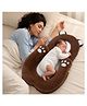 R for Rabbit Snuggy Teddy Baby Nest Sleeping Bed 4 in 1 Lounger Tummy Time Pillow & Propping Ultra Soft Plush Bed with Head Support Travel Friendly Bedding Set - Brown