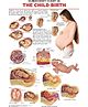 Dreamland The Child Birth Wall Chart (Human Body Chart) - Both Side Hard Laminated (Size 48 x 73 cm)