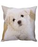 Stybuzz White Puppy Cushion Cover  