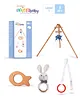 Intellibaby Level 1 (5 Brain Development Toys) 2 months Plus
