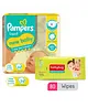 Pampers New Baby Diapers New Born - 24 Pieces & Babyhug Premium Baby Wipes - 80 Pieces
