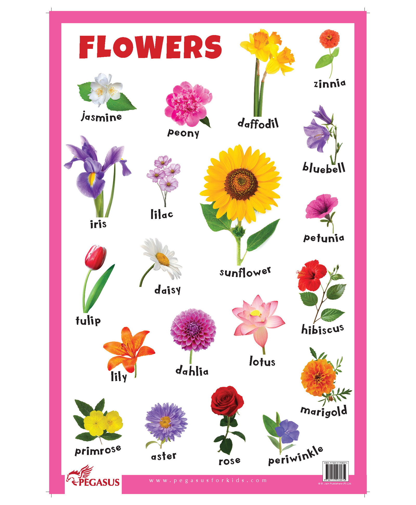 Цветы на английском