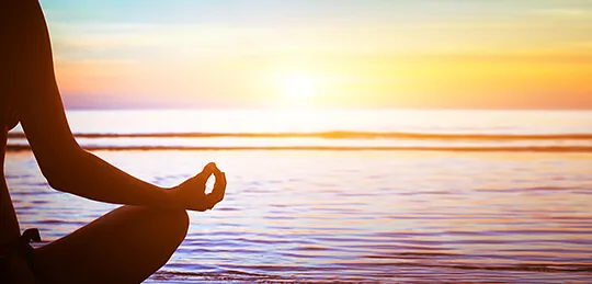 Health & Wellness