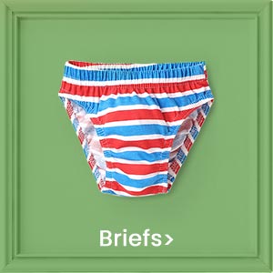 briefs