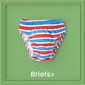 briefs