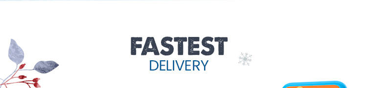 FASTEST DELIVERY