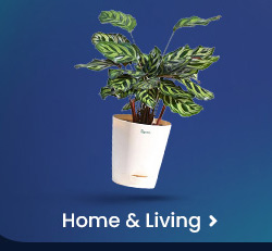 flat40off_homeandliving