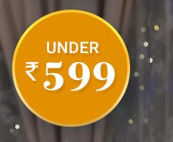 Under ₹ 599