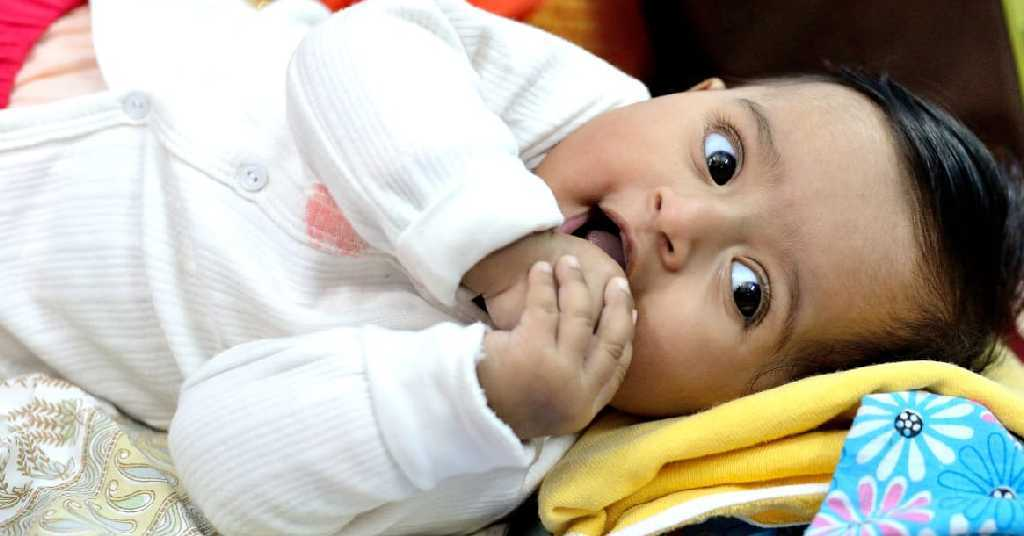 profile image of Aditi Roy