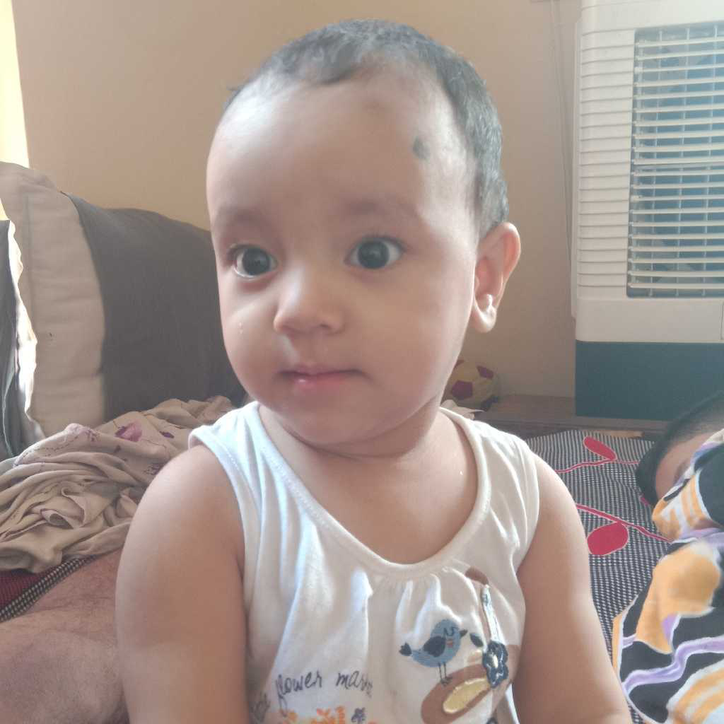 profile image of ansh Gusain
