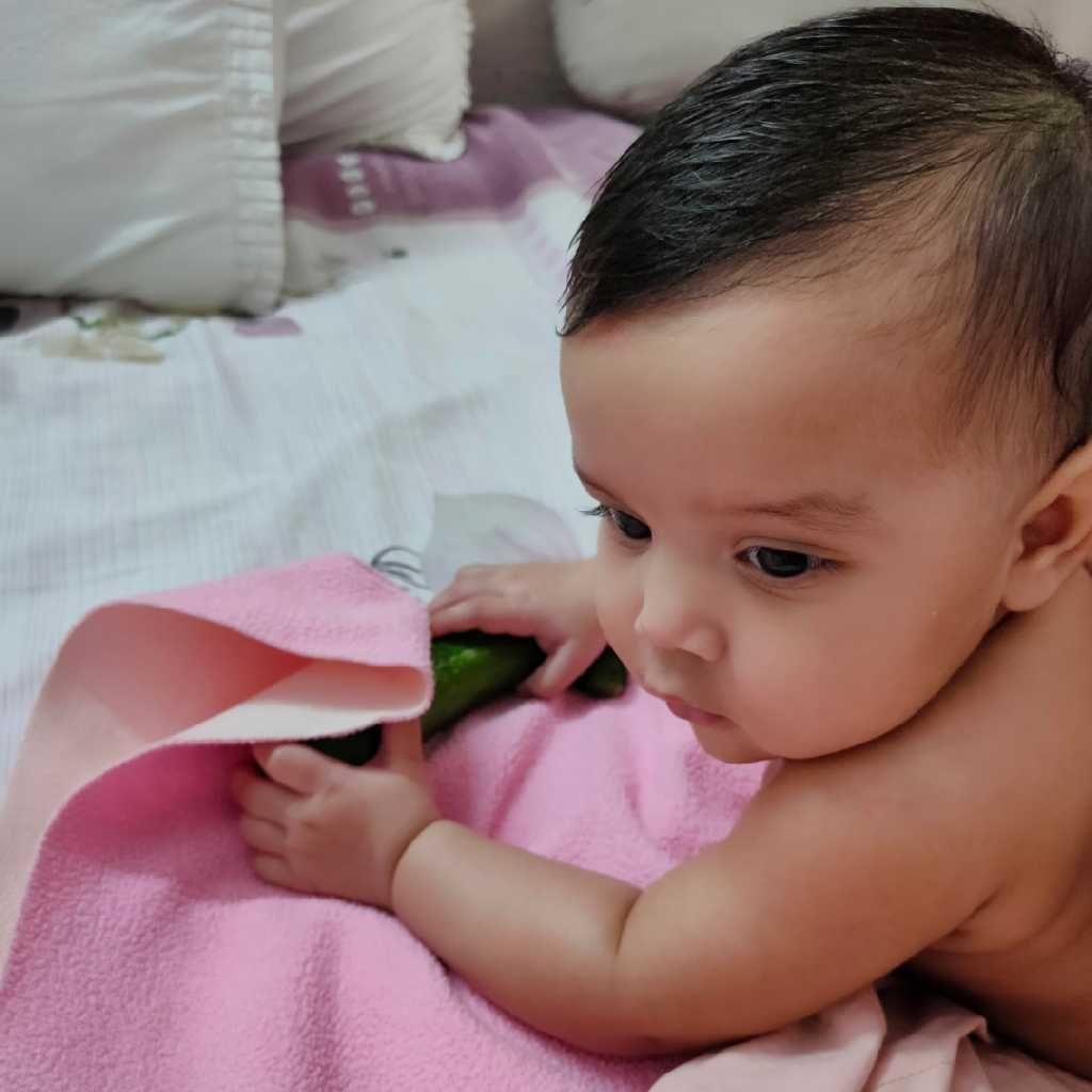 profile image of Shikha