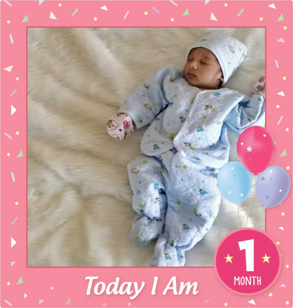 profile image of Purva Jay Bhavsar