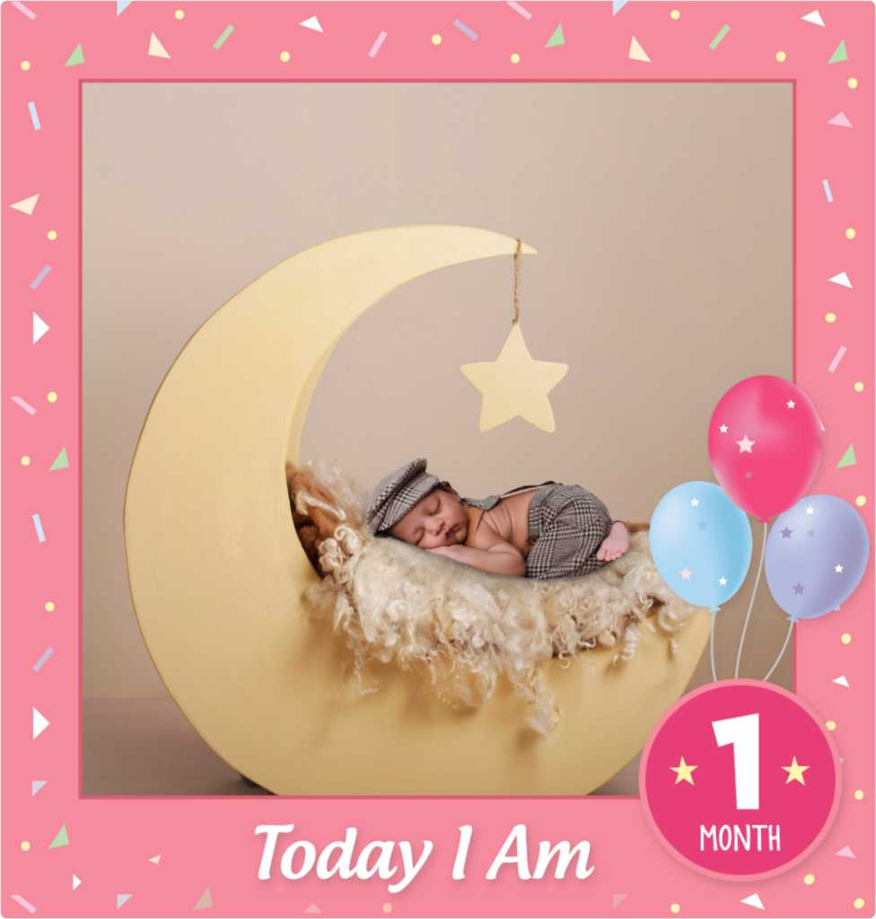 profile image of Sujitha