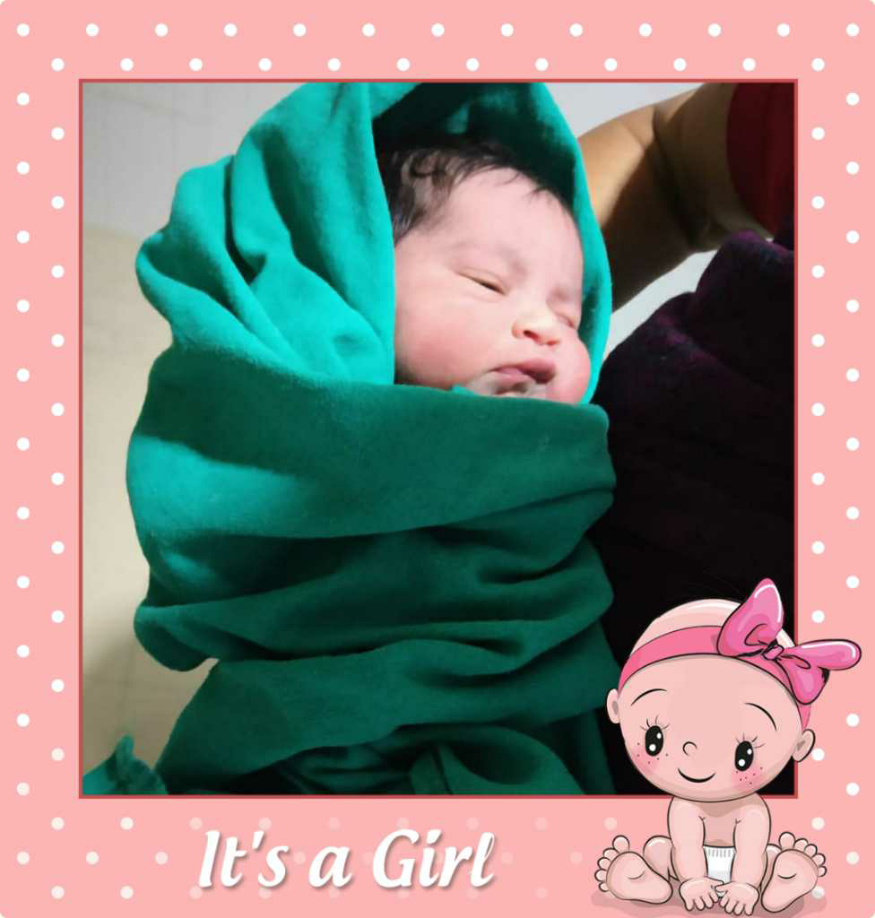 profile image of Nibedita Choudhury