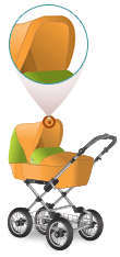 Features and Characteristics