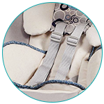 5-point Safety Harness 