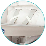 5-point Safety Harness