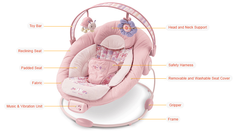 baby bouncer with head support