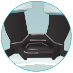  5 point harness 