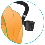 Bottle Holder