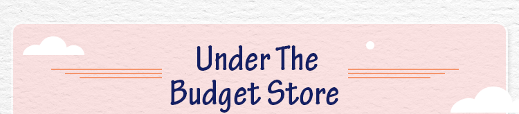 Under The Budget Store 