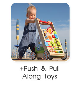 Push & Pull Along Toys