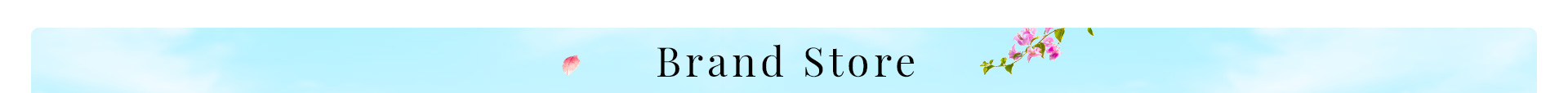 brand store