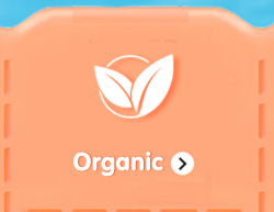 bath_skin_cat_landing_page_organic