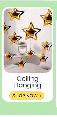 birthday_catlanding_2to4_6p_page_ceilinghanging