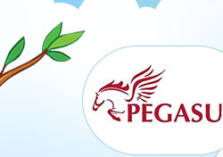 Pegasus