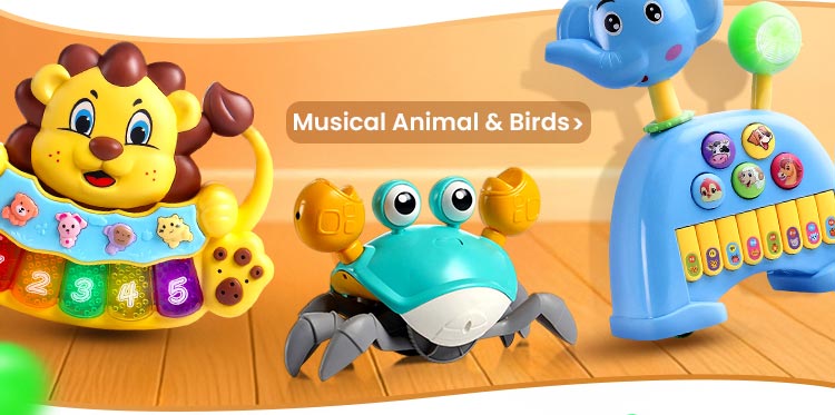 default_toy_fest_landing_page_musicalanimalandbirds