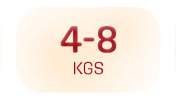 diapering_default_4_8kgs diapering_default_4_8kgs