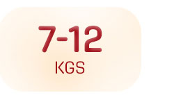 diapering_default_7_12kgs diapering_default_7_12kgs