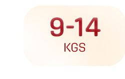 diapering_default_9_14kgs diapering_default_9_14kgs
