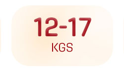 diapering_default_12_17kgs diapering_default_12_17kgs