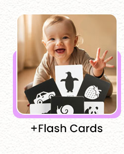 pictorial_menu_toys_default_flashcards