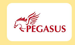 publishers_pictorials_pegasus publishers_pictorials_pegasus
